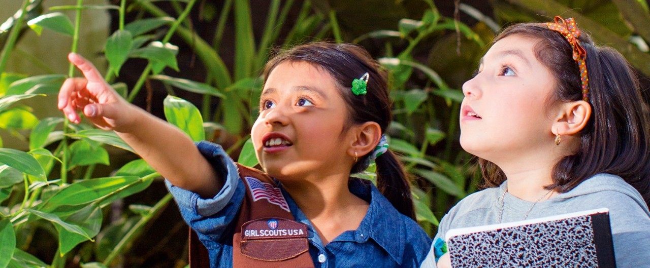 Journeys and badges in cybersecurity, eco-camping, robotics, college prep, space science, and more! Journeys and badges in cybersecurity, eco-camping, robotics, college prep, space science, and more!
