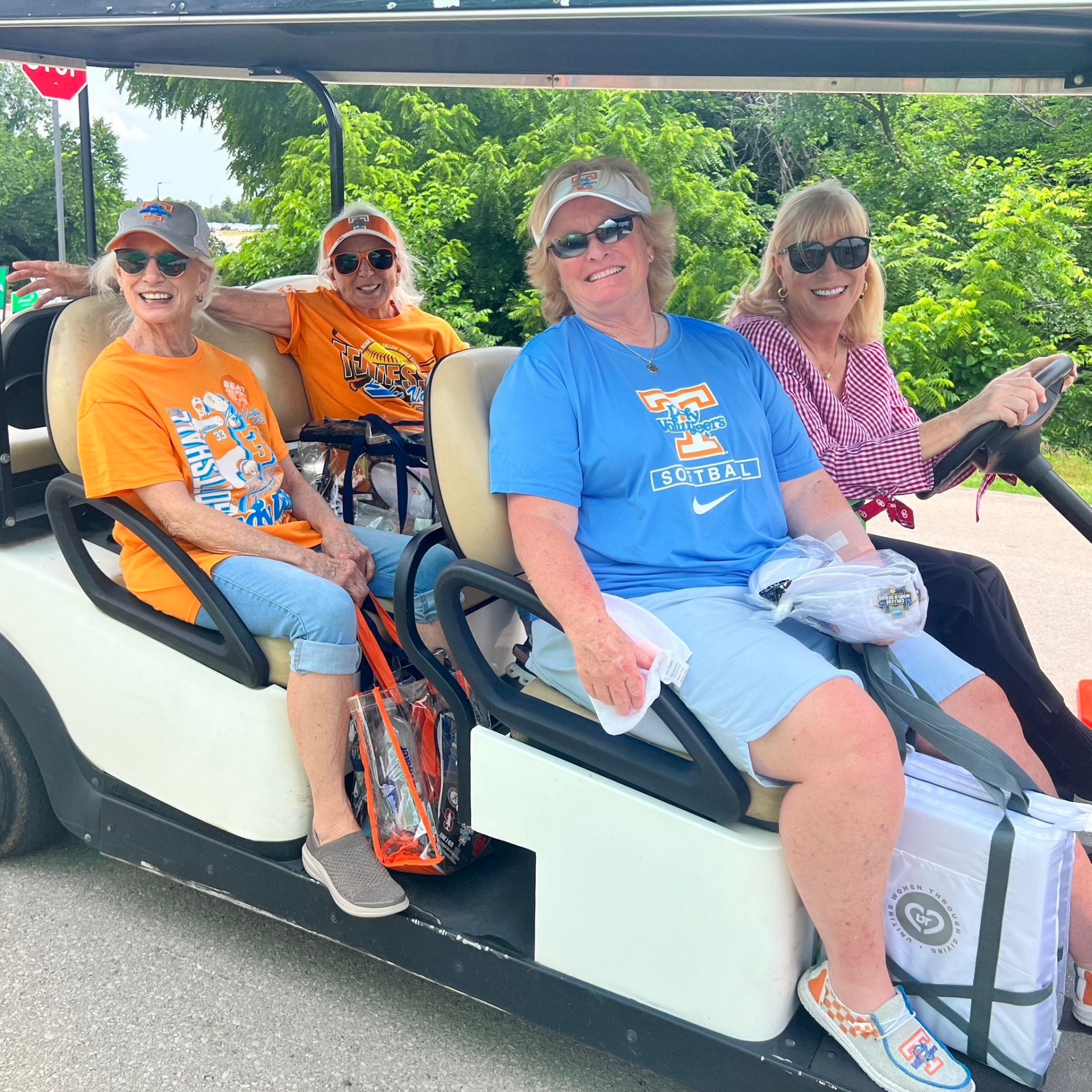 Park For a Purpose Golf Cart 1