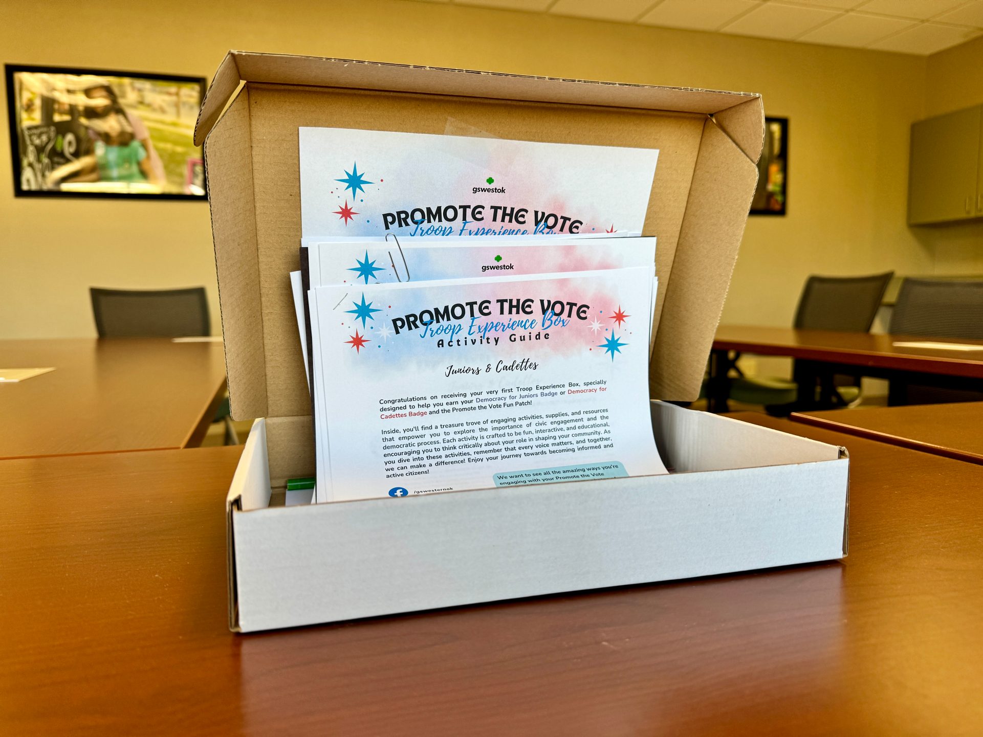 2024-promote-the-vote-box