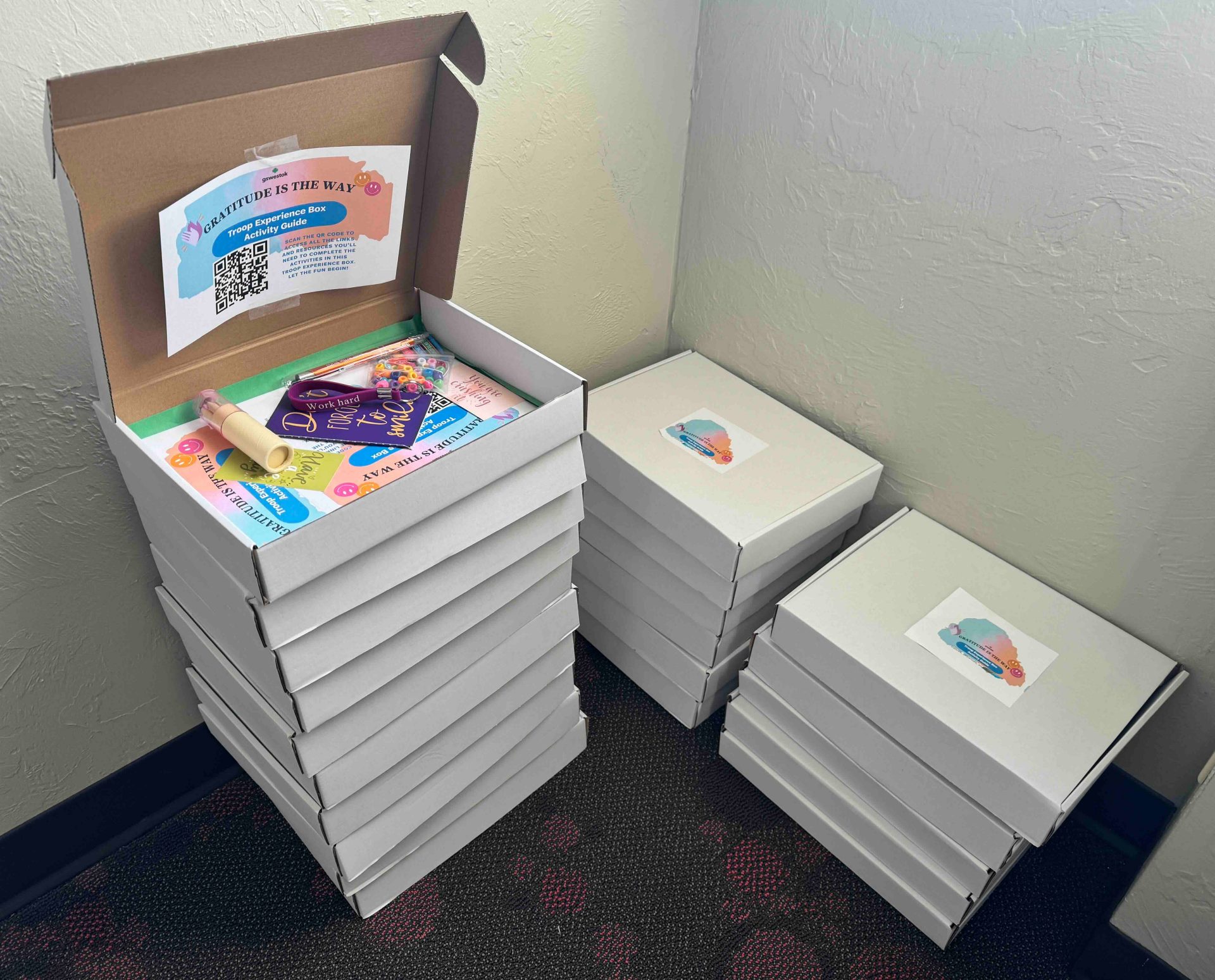 Three stacks of Troop Experience Boxes